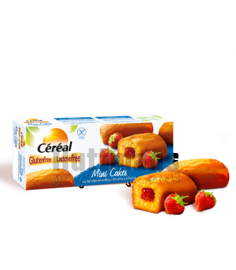 Mini cakes met Aardbeivulling