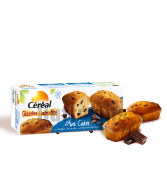 Mini-cakes met chocoladestukjes