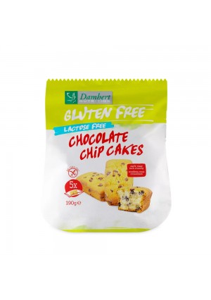 Chocolate Chip Cakes